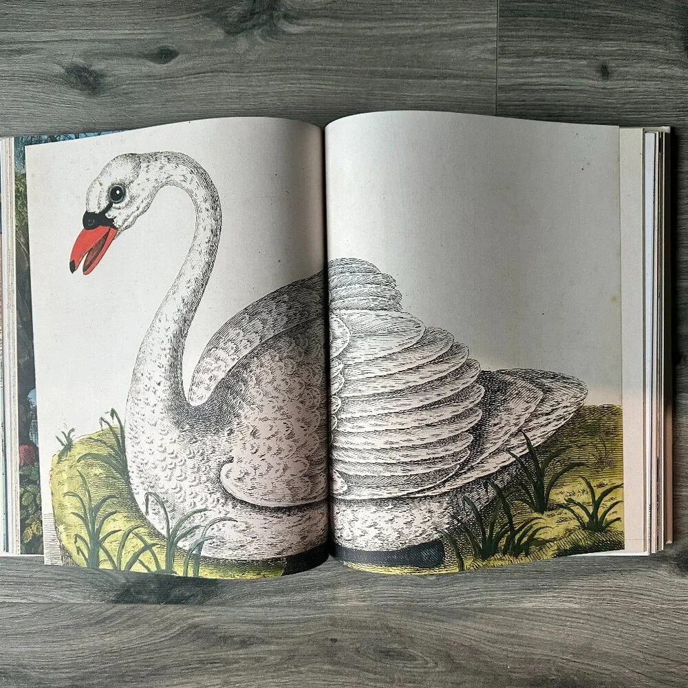 Eye Illustration Coffee Table Book - Beige and Brown Cover - Picture 6 of 7